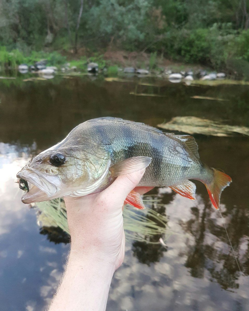 Streamtherapy's tweet image. Sometimes You Just Need To streamtherapy.wordpress.com/2016/12/29/som…