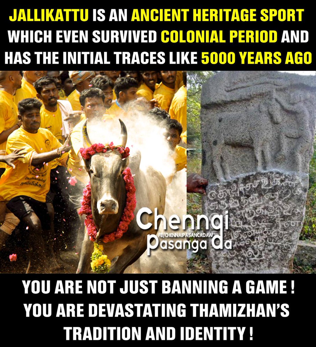 Ajay_strange's tweet photo. #TNneedsJALIKATTU #SaveJallikattu #BanPeta @hiphoptamizha @MemesChennai  @narendramodi @Ban_Peta_India @TrendsChennai @careandwelfare https://t.co/4eWvzVVHRi