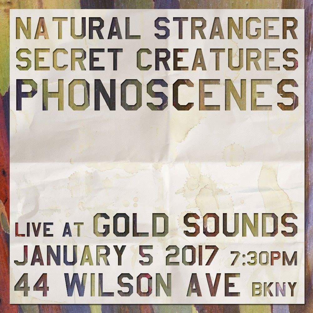 NaturalStranger's tweet image. Come celebrate #2017 with the strange! ! Show Jan 5th @goldsoundsbar #naturalstranger #indierock #indie #Brooklyn #nyc