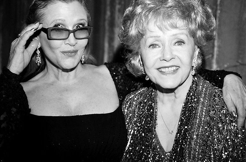 FacRecShop's tweet image. 