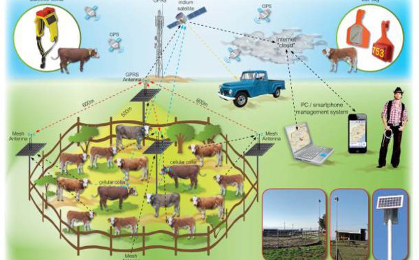 Tendencias21's tweet photo. La tecnología IoT irrumpe con fuerza en la agricultura y ganadería: Las nuevas... https://t.co/NXk0Pvh3pK https://t.co/YpHBtXN2O0