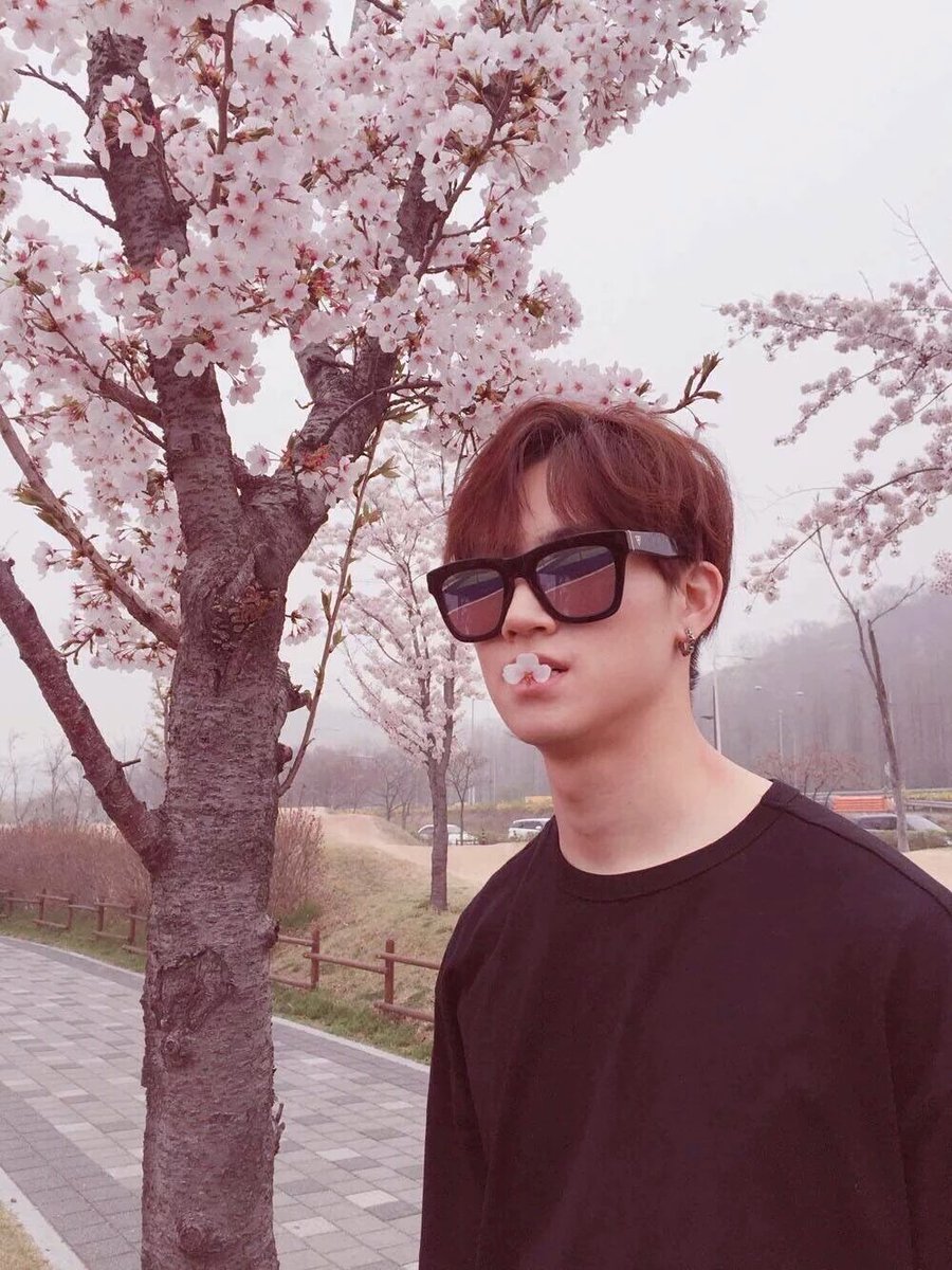jyp_sakura's tweet photo. 受験終ったら絶対渡韓する🇰🇷
あとGOT7のLIVE行く！！vixxもSEVENTEENもAOAもTWICEもBlock bもNCTDREAMとりあえず、受験はやくおわれー💫

2PMに会えないのはなかなか厳しい https://t.co/u2lPU3wV0D