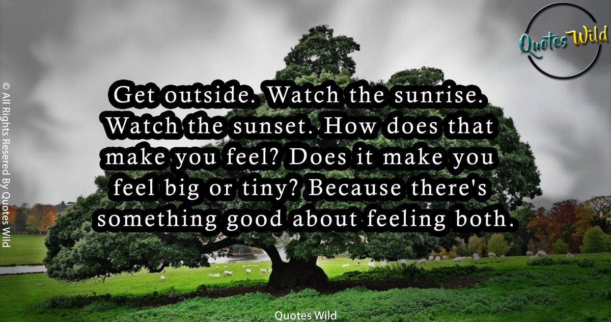 Quoteswild1's tweet photo. #quoteswild https://t.co/87B7sN9gKY
