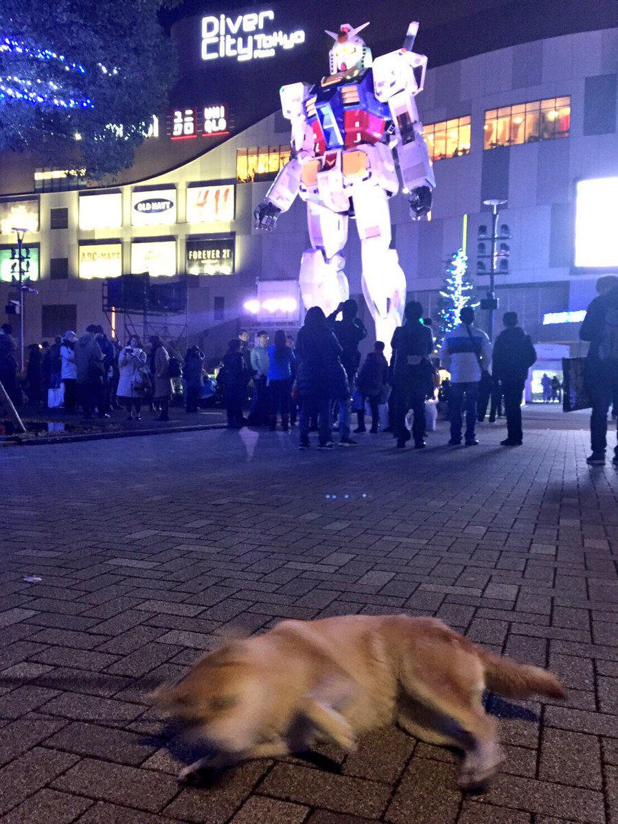 always_with_yu's tweet photo. ガンダムと記念撮影したかったんだけど、まあこうなるよね。
#ガンダム https://t.co/kc2AkvJSim