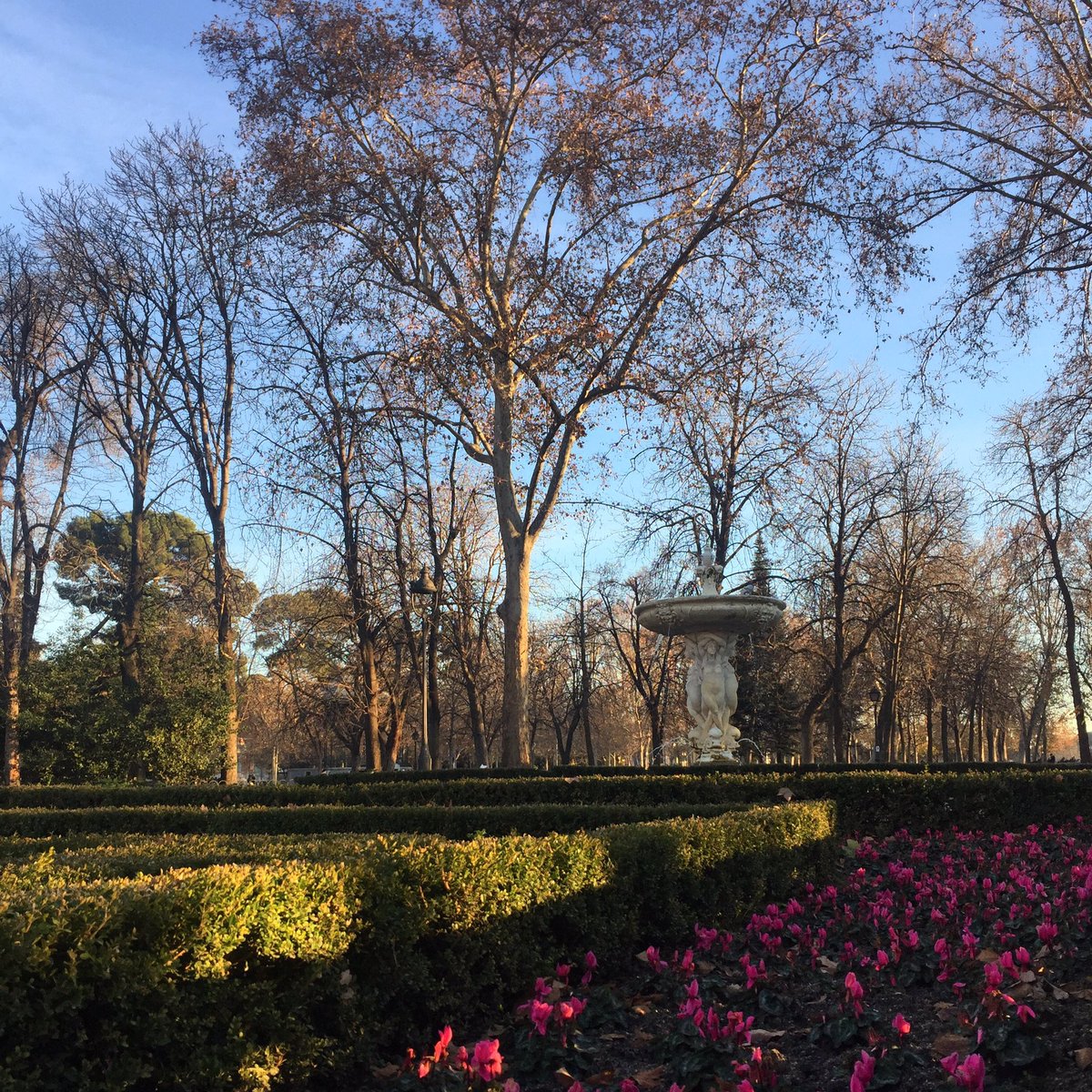 MoraimeT's tweet photo. Buenas tardes de invierno en El Retiro madrileño

#garden #elretiro #jardin #gardener #fuente #fountain #madrid #parquedelretiro #spain https://t.co/KyvUlueNi9