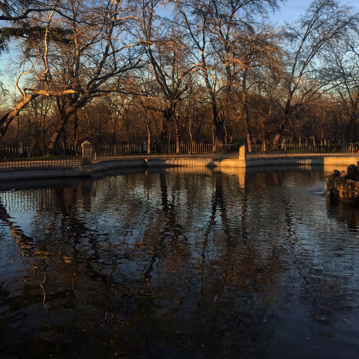 MoraimeT's tweet photo. Buenas tardes de invierno en El Retiro madrileño

#garden #elretiro #jardin #gardener #fuente #fountain #madrid #parquedelretiro #spain https://t.co/KyvUlueNi9
