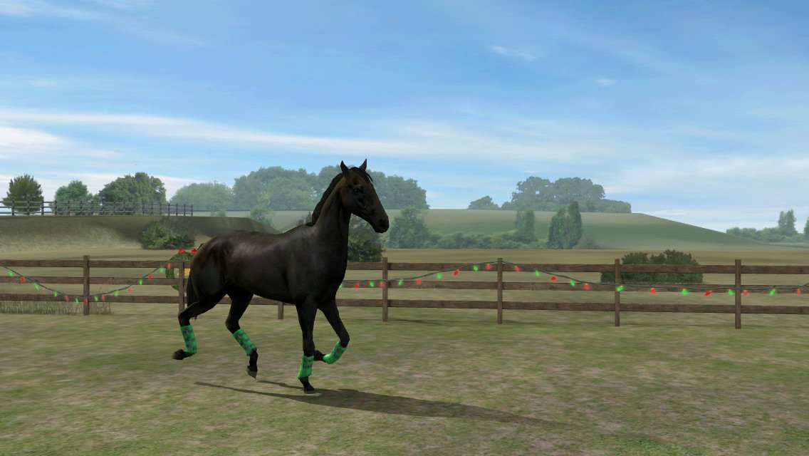 ChiarAcciarini's tweet photo. Guarda la mia foto! Aggiungimi, ShiningJumper. #MyHorse  https://t.co/THfrwuaeSg https://t.co/Uk8T7OdJZn