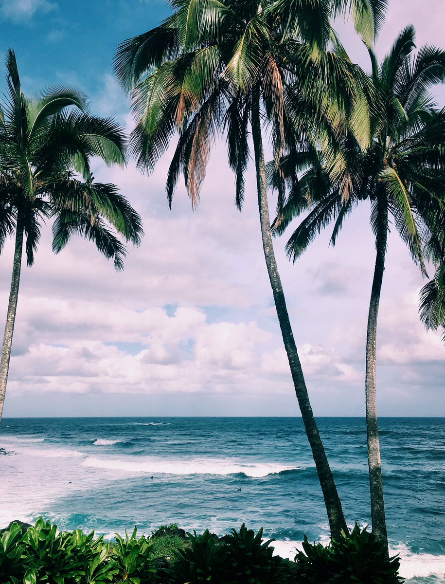 secretshawaii's tweet photo. Connectivity #East #Maui #Community 
https://t.co/CIArFfe7K2 https://t.co/jBdW3QZbzK