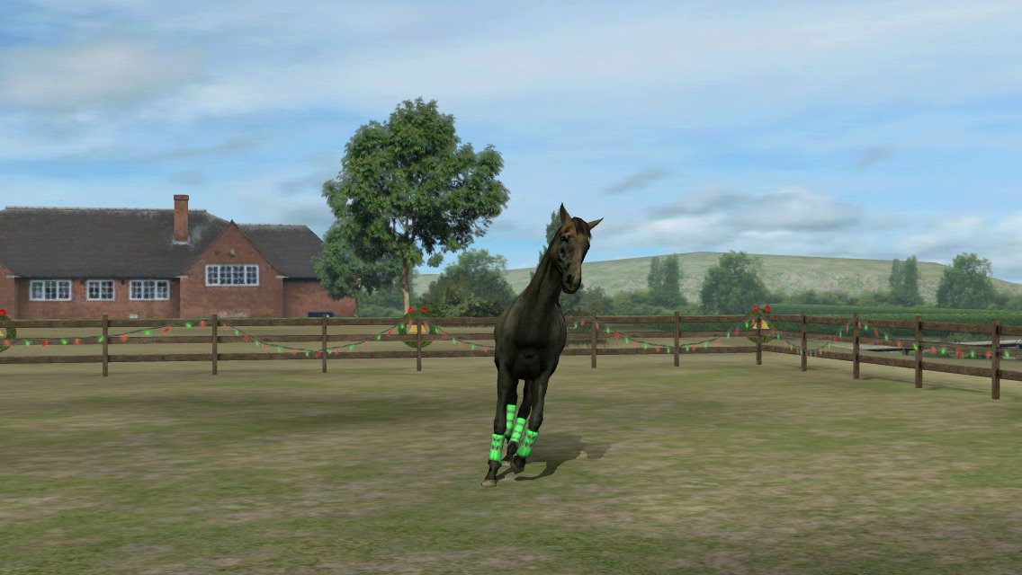 ChiarAcciarini's tweet photo. Guarda la mia foto! Aggiungimi, ShiningJumper. #MyHorse  https://t.co/THfrwuaeSg https://t.co/Nh6YZShVFP