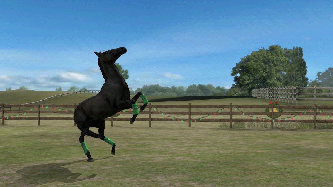 ChiarAcciarini's tweet photo. Guarda la mia foto! Aggiungimi, ShiningJumper. #MyHorse  https://t.co/THfrwuaeSg https://t.co/dhIHl4cBy1