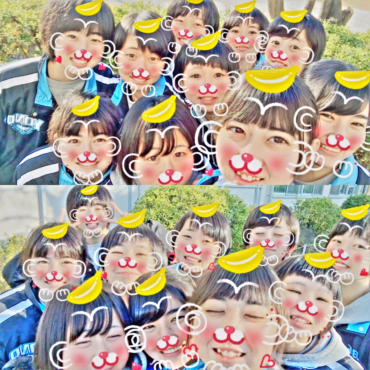 massuru__100's tweet photo. 今日は、今年ラストの部活 ⛹🏻‍♀️✨
今年はこのメンバーと出会えた年であり
濃い〜〜〜1年だったね \( ˆoˆ )/

2016年大変お世話になりました！🐵🍌
                                                 与野女バス1年一同 https://t.co/6owTPmCJeW