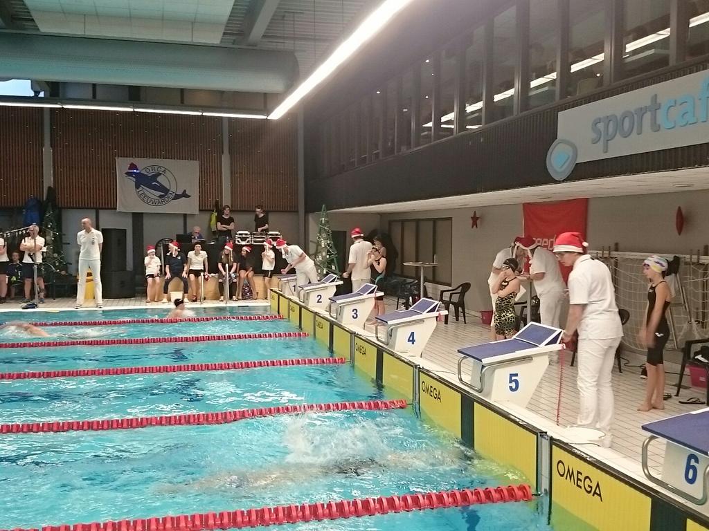 ZvOrca's tweet photo. En we zijn gestart met de tweede editie van Orca's Christmas Swim #OSC16 https://t.co/9yBl7VCxiW