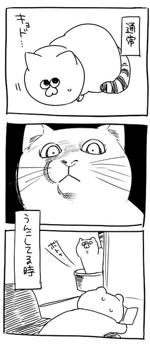 うちのねこ 
