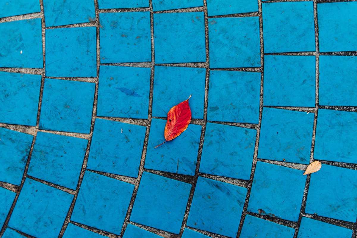 Koukichi_T's tweet photo. #BrokenPatterns https://t.co/rDjFKhM39c #EyeEm #ファインダー越しの私の世界 #ktpics #stockphotos #minimalism #abstract #coregraphy #wintercoming https://t.co/sqDSHw5Rct