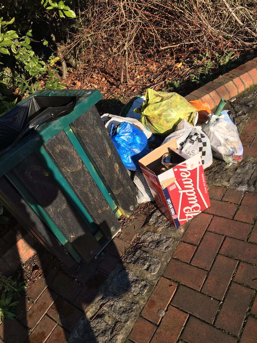 moremeadgreenCG's tweet photo. @cllralanhall @LBL_Enviro_ENF @LewishamCouncil @EnviroLewisham rubbish bin just inside River walk, Bell Green Retail Pk entrance. https://t.co/VLu1FPyP8W