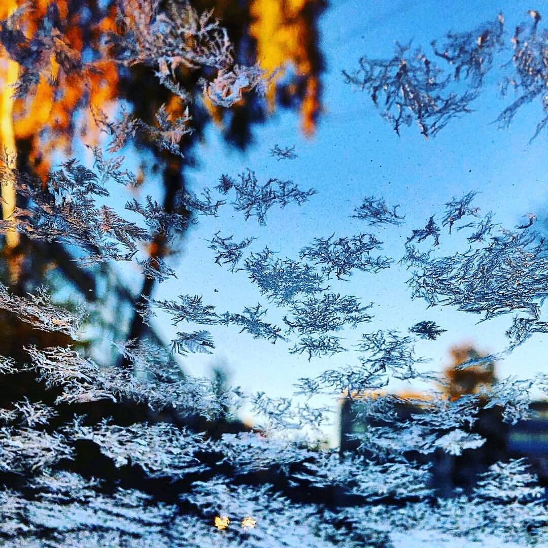 зимнее окно. морозное утро в окне. алексей трофимов фотограф братск. зимнее окно. морозные узоры на окне.