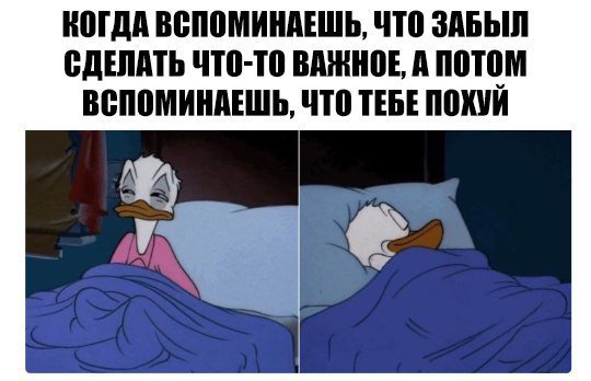 Humor1231 tweet picture