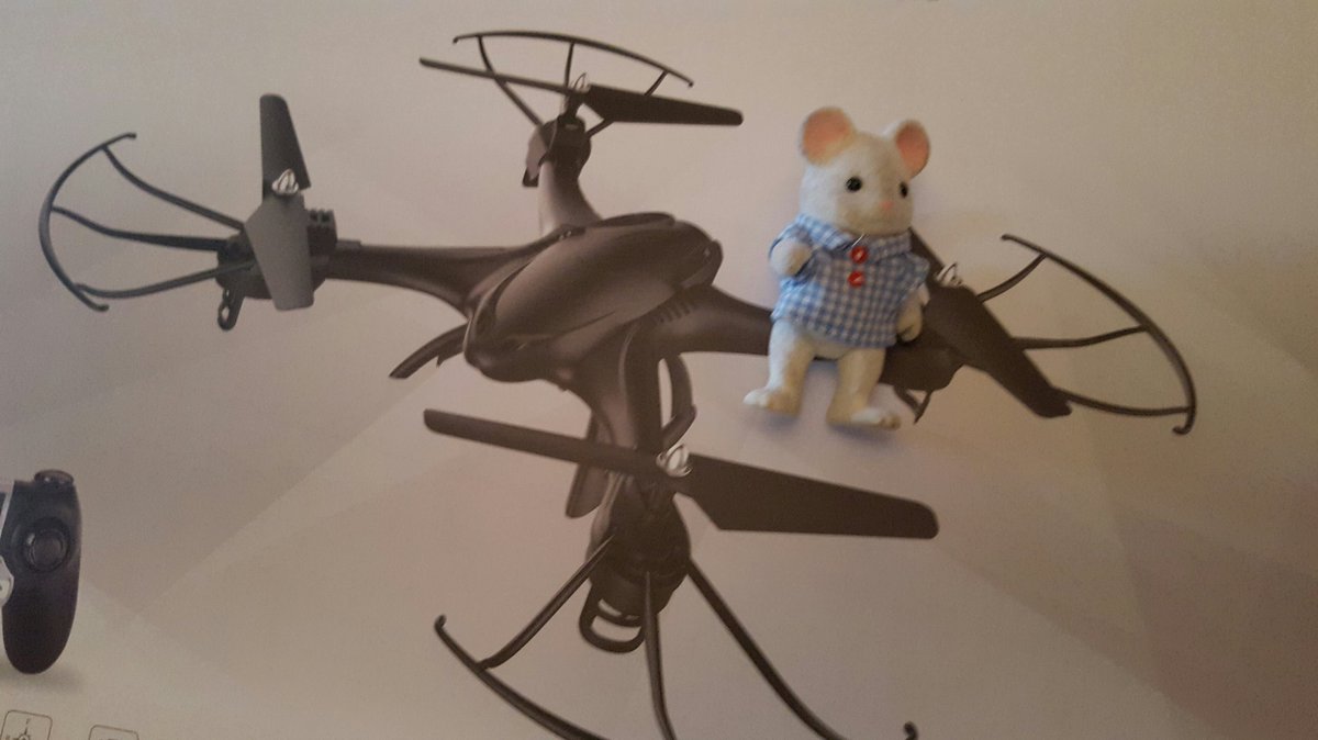 XmasMouse16's tweet photo. Going to get airborne!  Aiming to reach new heights in 2017!  #NY2016 https://t.co/vETo9jCR6f