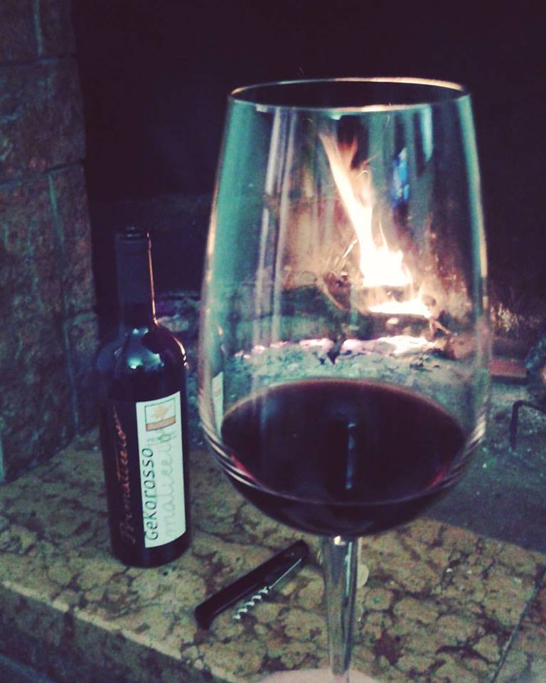 leradicideltemp's tweet photo. #vino rosso e #camino per un abbinamento diVino ...#leradicideltempo #primitivoArke #primitivoGekorosso ... https://t.co/dvEoQUusJd https://t.co/hYjIhlAsrH