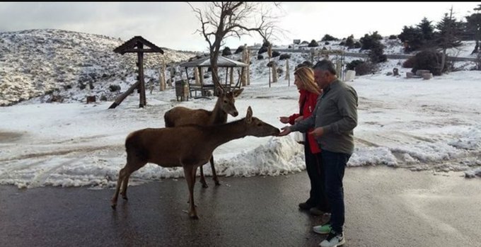 View image on Twitter