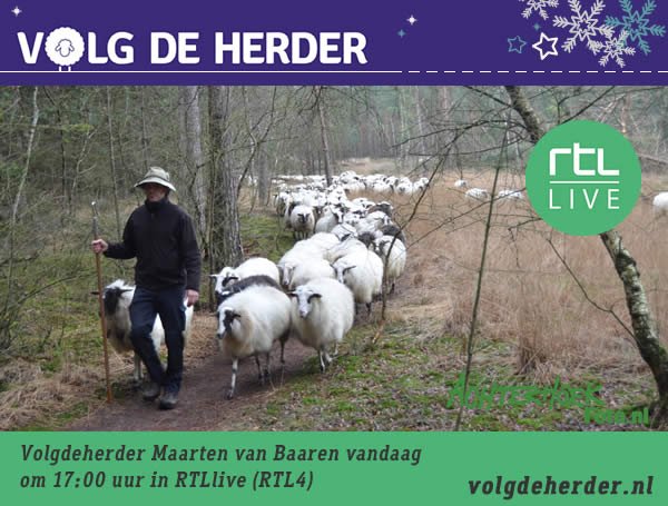 Schaapherder Maarten van Baaren <a href="/hetniejboer/">M van Baaren</a> vandaag in <a href="/_RTLlive/">RTL Live</a> 
Om 17:00 uur kijken! Volgdeherder.nl