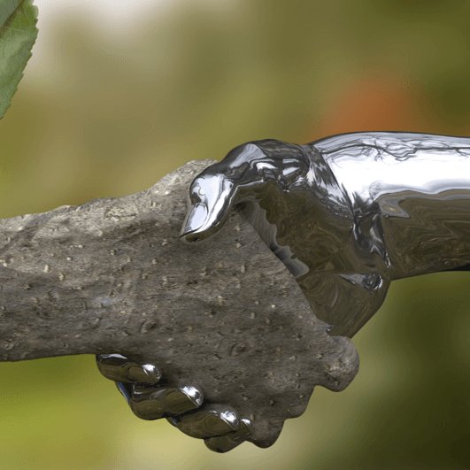 Model mutualism: Pitcher plants and bat feces synapse.bio/model-mutualis…