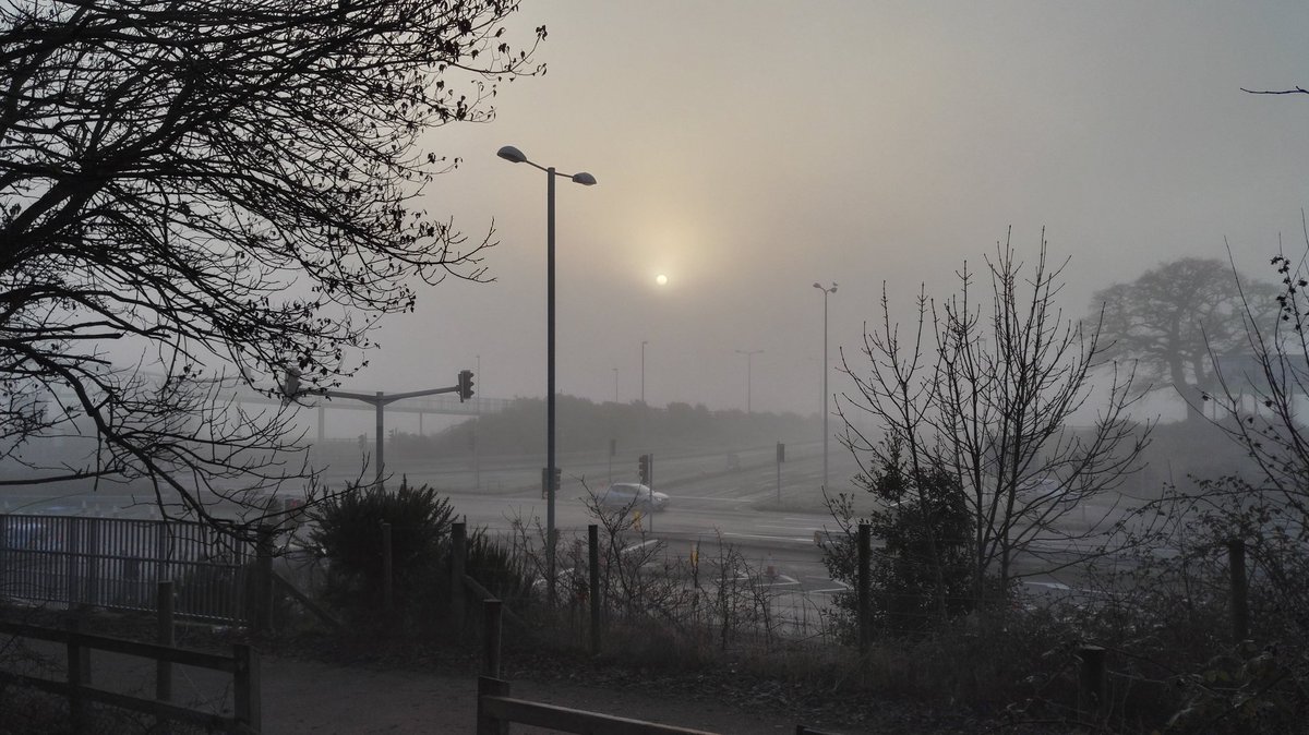 mydevonbox's tweet image. Cold, foggy and frosty in Exeter this morning. #devon #WinterWonderland #winter