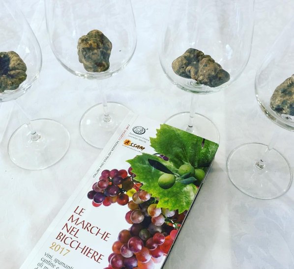 Sei un amante del buon #vino? Ecco la guida 'Le #Marche nel bicchiere' aismarche.it  ph.<a href="/raffaelepapi/">raffaele papi</a>