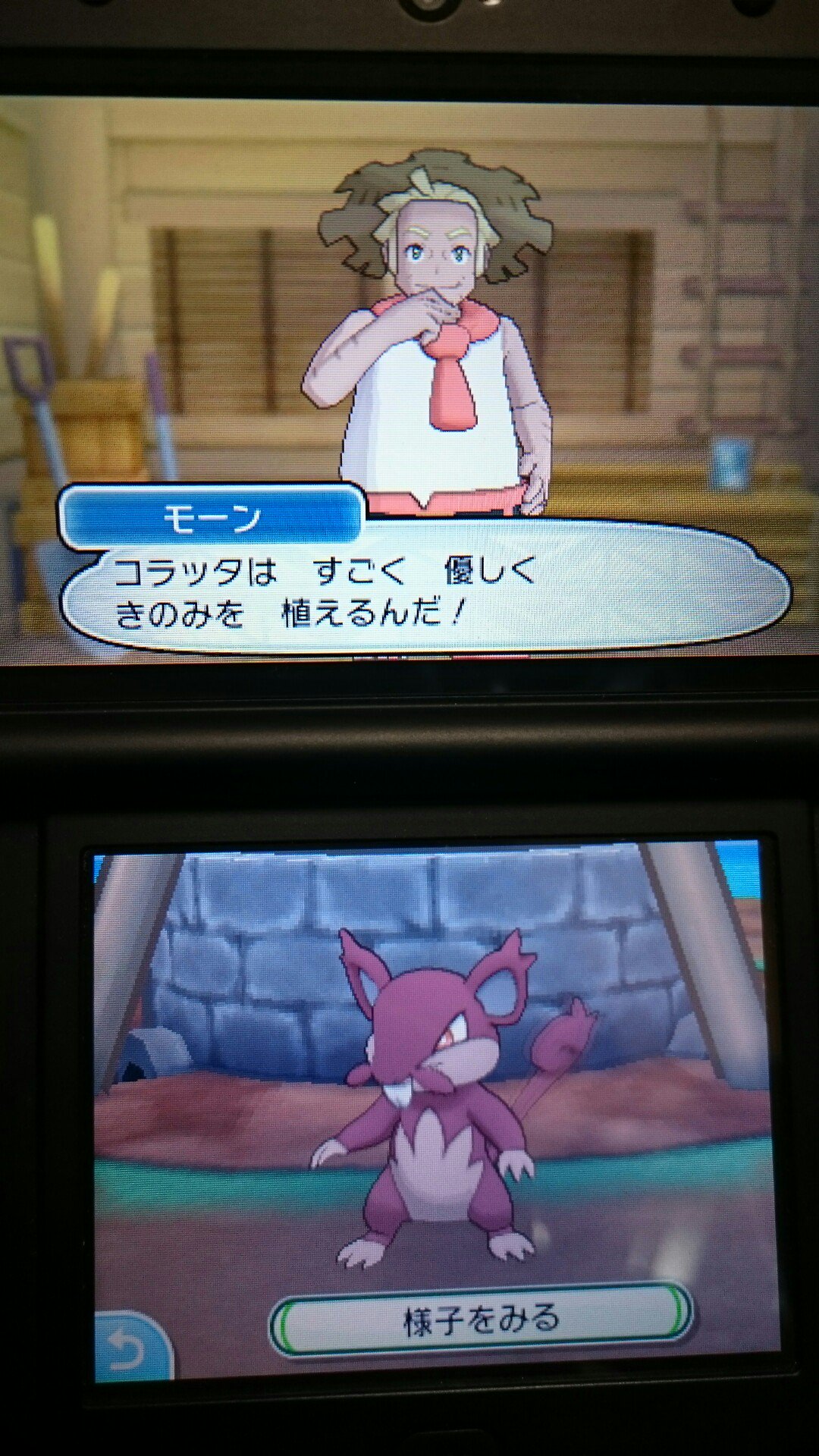 町ル田 ポケモンはバトルだけが全てじゃないと思うので 発売2日目にゲットしてからずっとボックスの肥やしだったウチの色違い コラッタ アローラのすがた の初めて知った意外な長所を見てやってください ポケモンサンムーン T Co Oo2vvmpnwm