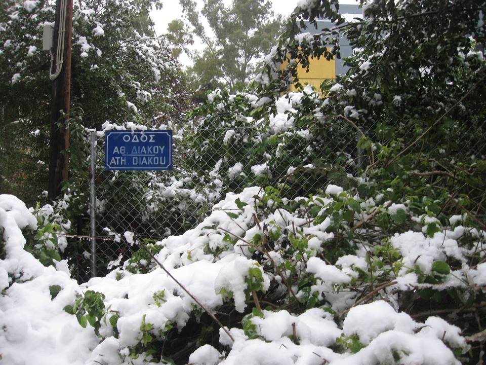 GreeceGuideline's tweet photo. Snow in Athens, 29.12.2016 #greece #grece #griechenland #athen #athena #athenas #atenas #афины #греция https://t.co/1uYgQnqb1M
