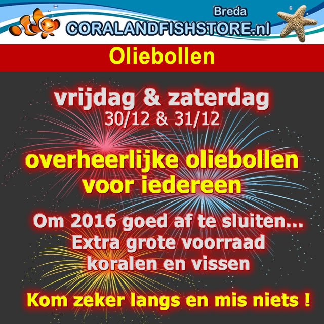 CFSbreda tweet picture