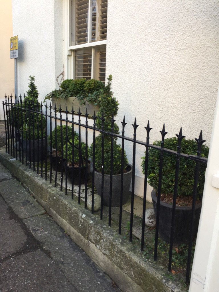 AlanEDown's tweet image. Simple, easy and effective! #boxtrees in pots. Varied shapes and sizes creates interest. @LoveYourPlot #greeninggreybritain @Cleevenursery