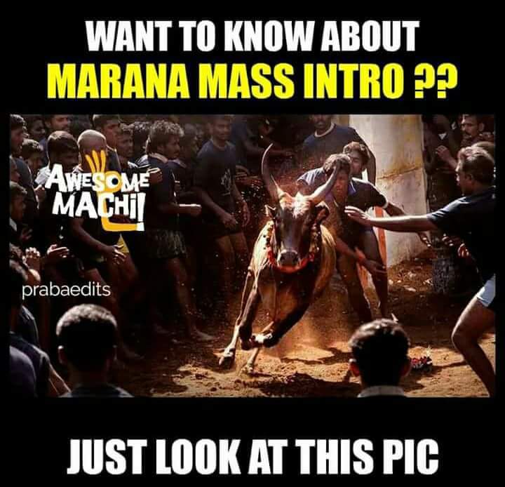#TNneedsJALLIKATTU