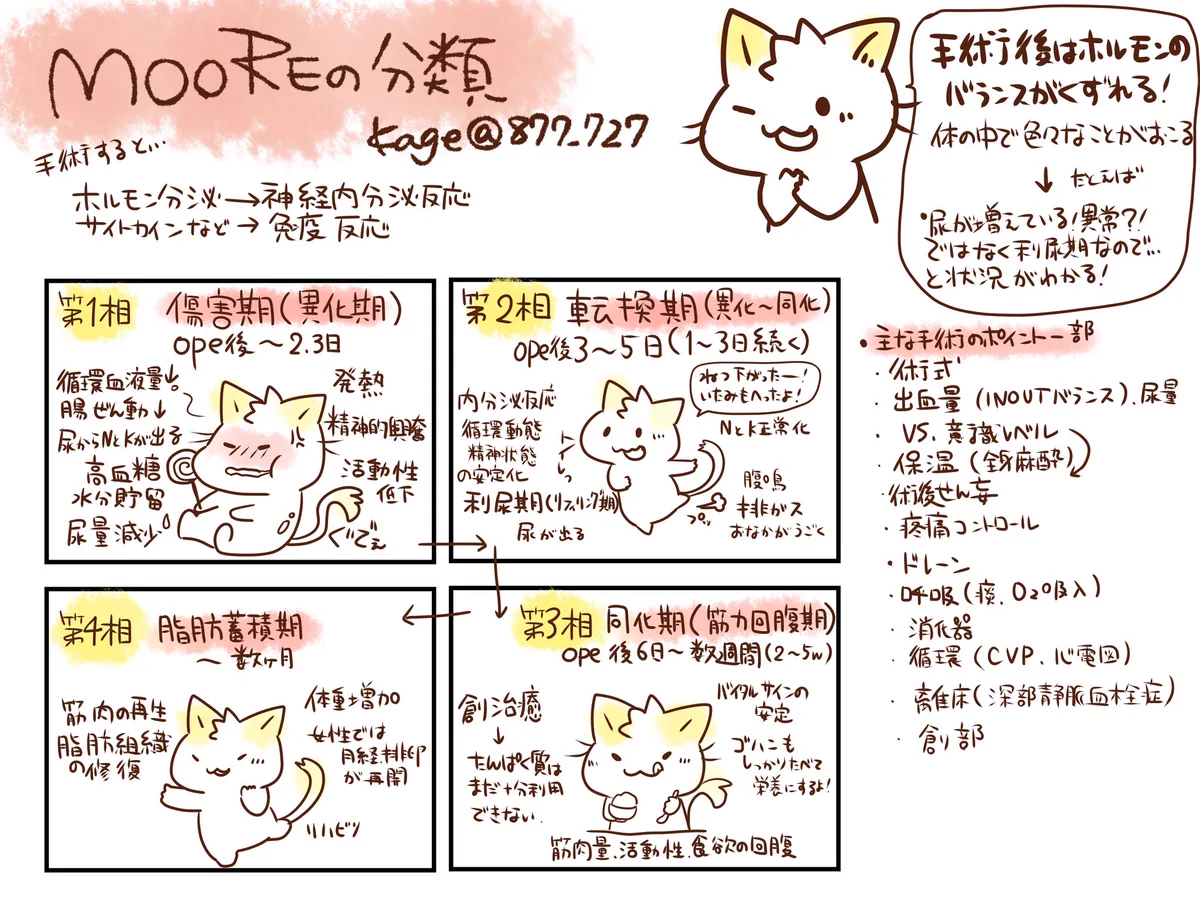 ムーア の 分類