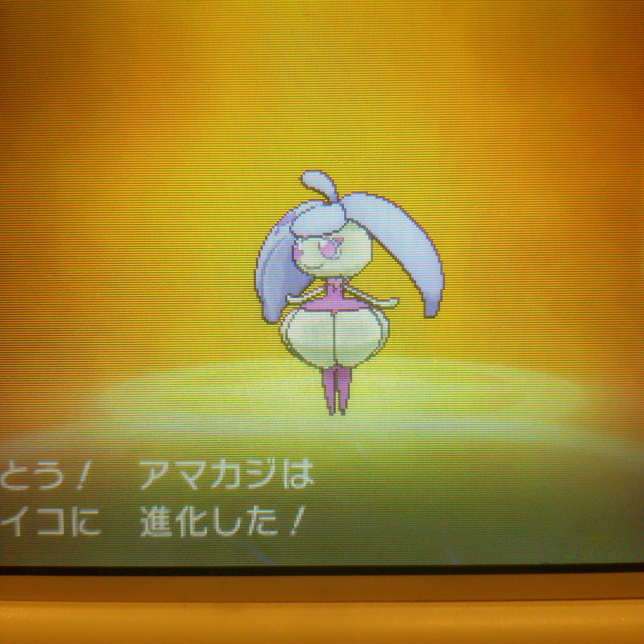 にゃん ポケモン垢 国際孵化勢 Nyansama Vn3nv Twitter