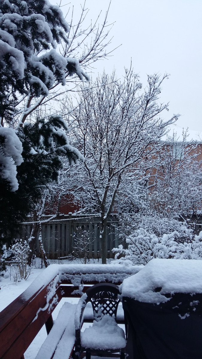 SundarDamodaran's tweet photo. Frosty moments on the day off. https://t.co/mPilpYBZHl