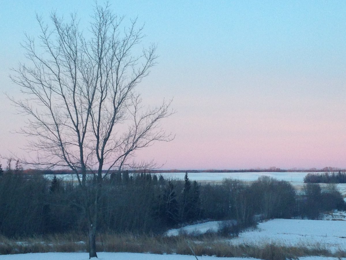 maureen_parker's tweet photo. Winter and fall. #softmorninglight https://t.co/nAawZht4zu