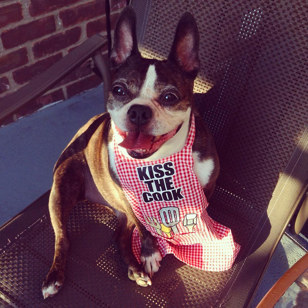 CoventryApts's tweet photo. An apron is just a cape on backwards! https://t.co/9TlvGtWu5e