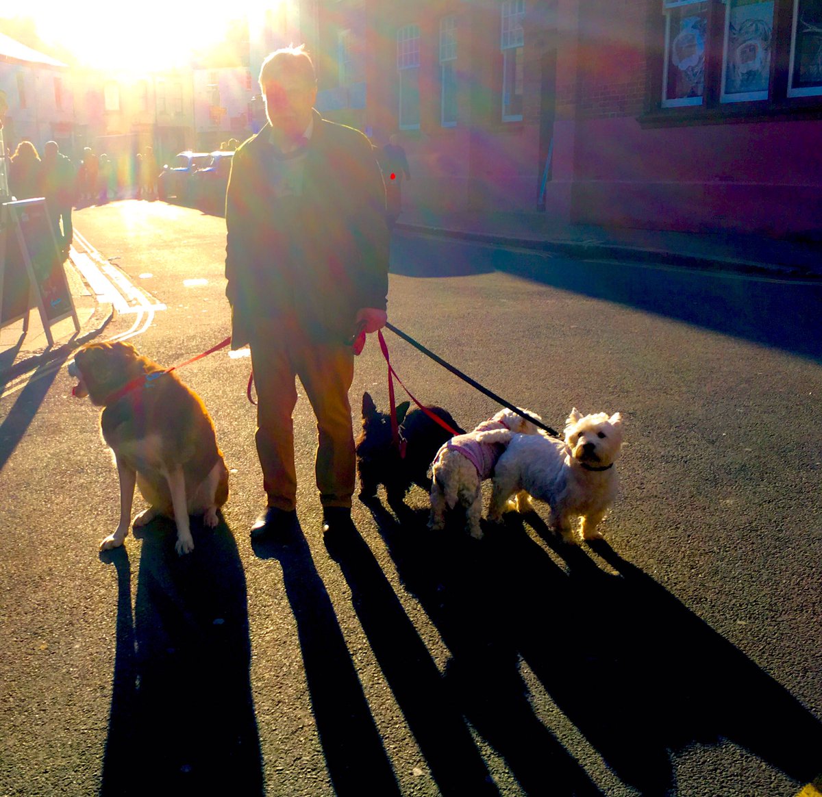 andrewhasson's tweet photo. Padstow, Cornwall. Never seen so many dogs in one place #dogcentral #cruftsonsea #dogseverywhere https://t.co/YBcDoLJp7f