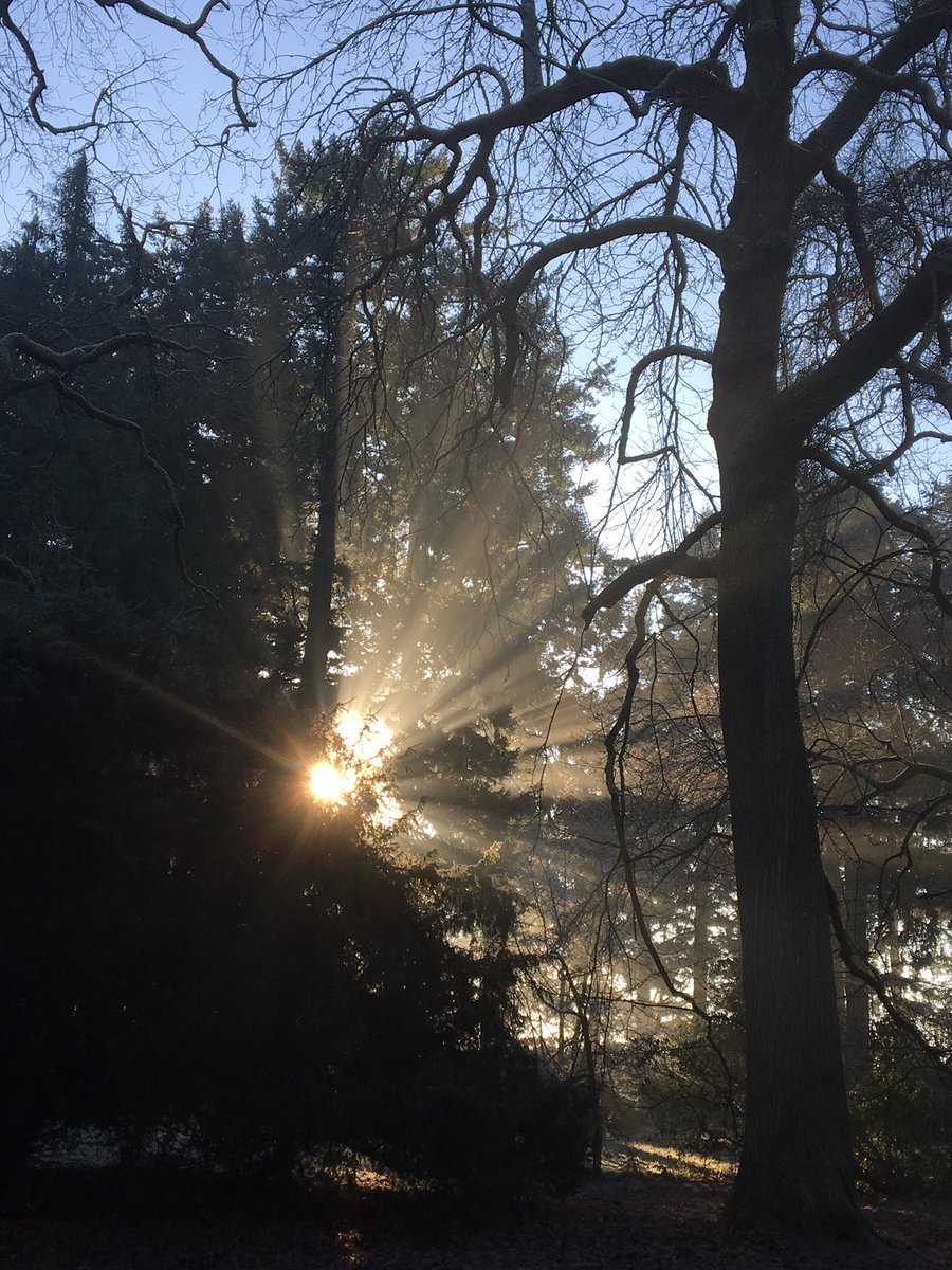 Paula_b15's tweet photo. Lush morning walk with friends at westonbirt #greatfriends #GoodTimes2016 https://t.co/dqnGpyjKuq