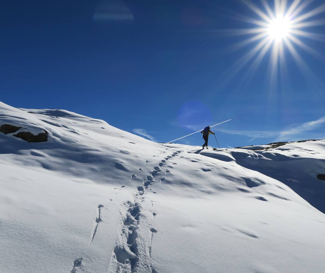 MerrellFrance's tweet image. On essaye de suivre, mais c'est pas facile !!

#merrellfrance #dowhatsnatural #mynature