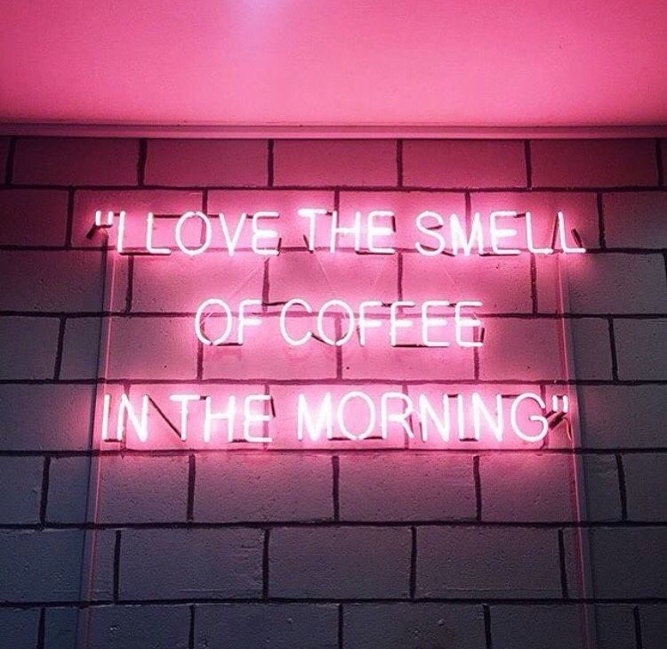 stargirlfiles tweet picture