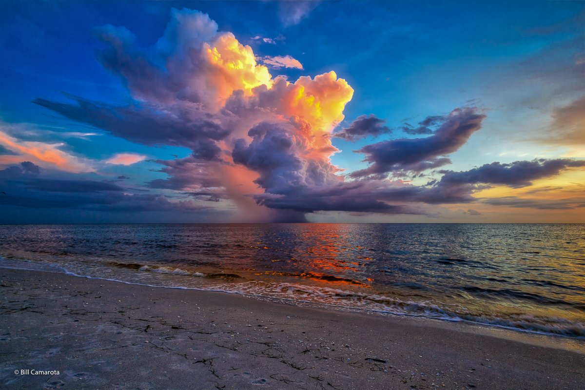 ProPhotoMagic's tweet image. Sixth article this month featuring an image of mine! Very proud! gurushots.com/articles/photo…