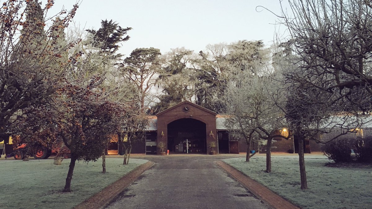 GS_Eventing's tweet image. Beautiful @CasewickStud this morning #frost #freezing ❄️