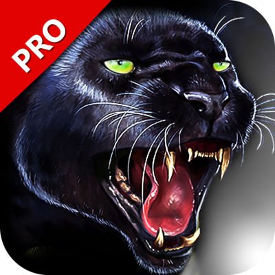 music_latch's tweet photo. Black Panther Hunting 3D Game Pro @ https://t.co/cXRep8UV5r #games #iosgames #mobilegaming #NewGamesWeLove @umairjav @iOSAppLists #gamer https://t.co/tBW51vZOKg
