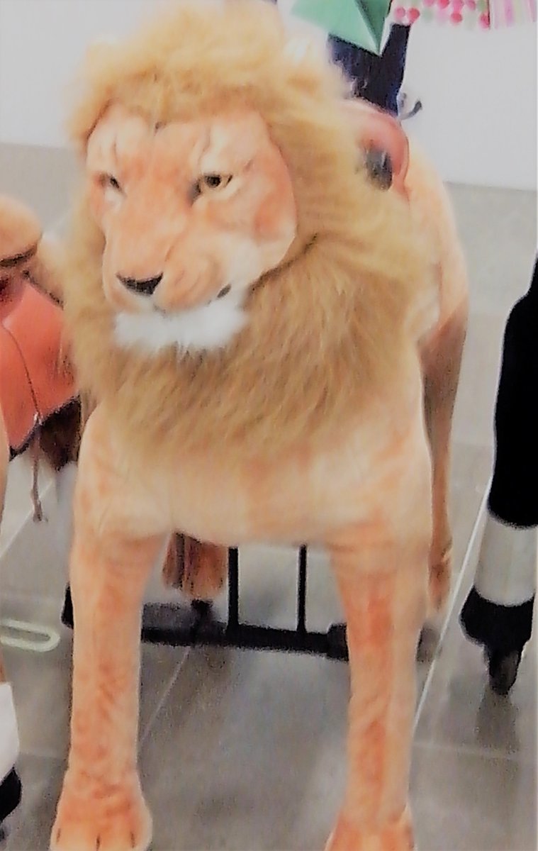 Activiteit in de Kerstvakantie: ponycycles /"ponyrijden" in Winkelcentrum Zaailand -begane grond.  Zie op fb pagina voor exacte data