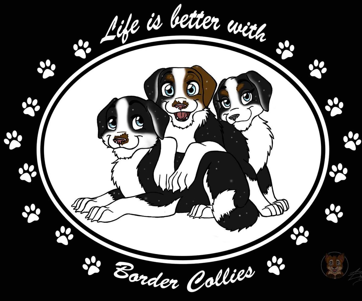 And Finished.... In love with this one 😚 🐶
 #pups #baby dogs #tees #bordercollies #bordercollie #tshirtdesigns  #bordercolliepuppies