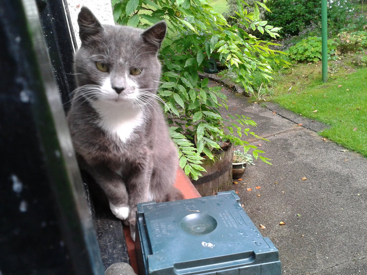 graysonlarkin's tweet image. I listen to money singing. It’s like looking down
From long french windows at a provincial town
In the evening sun. It is intensely sad.