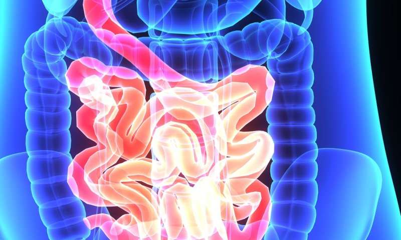 DrKristieLeong's tweet photo. Eating a variety of #plantbased &amp; #fermentedfoods builds a diverse microbiome.Diversity linked with #health https://t.co/w29E0qoUie