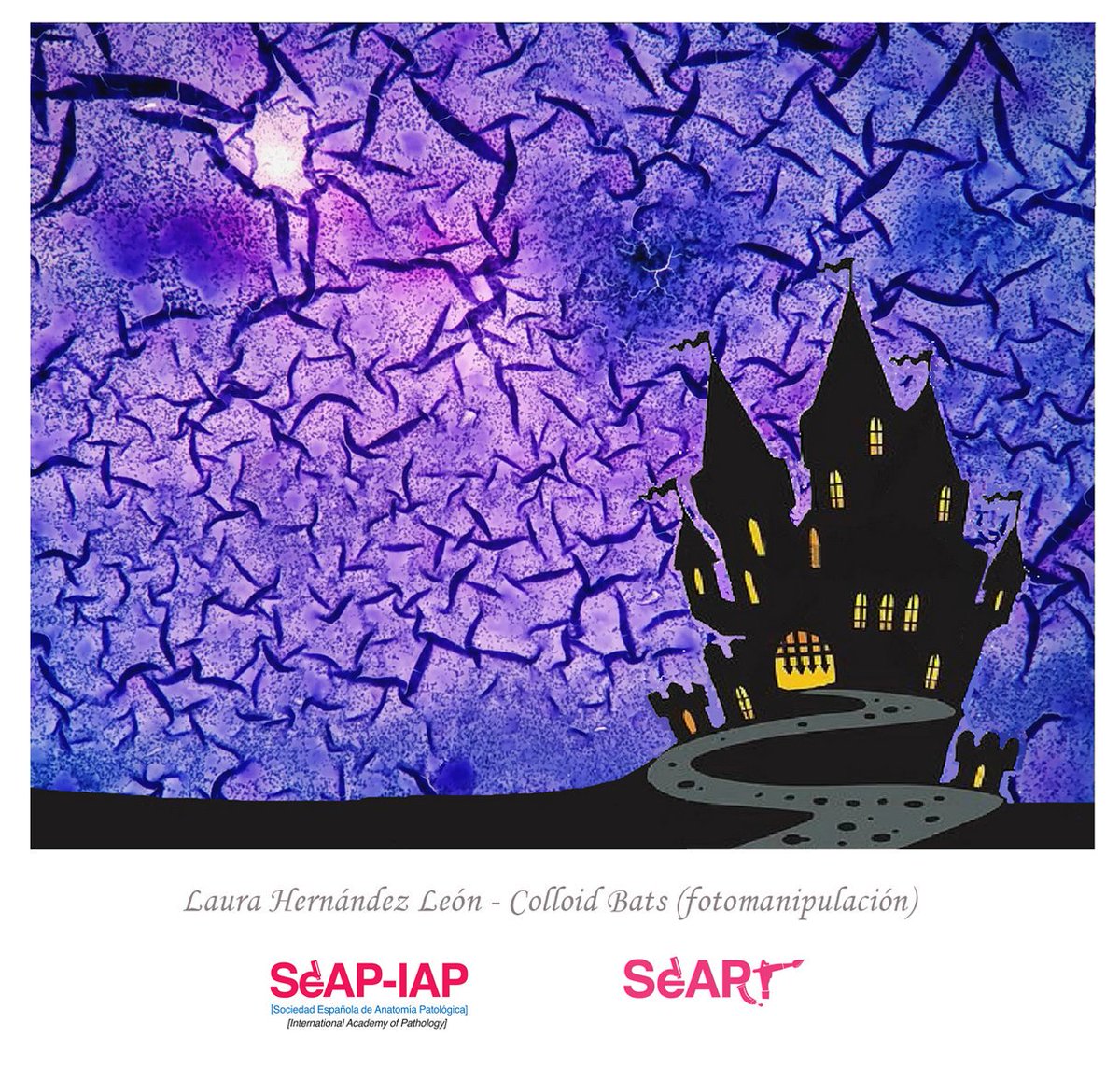 SEAP_Art's tweet image. #SEAPArt - Laura Hernández: Colloid bats - I Visual Arts Contest / I Concurso de Artes Plásticas. #PathArt #SEAP2017V @SEAP_IAP @aecc_es